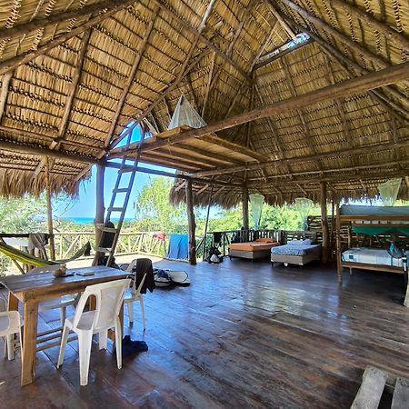 Palapa Hostel Transito 외부 사진