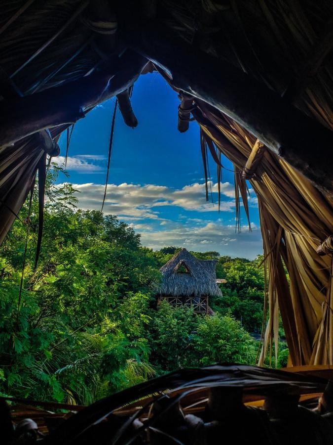 Palapa Hostel Transito 외부 사진