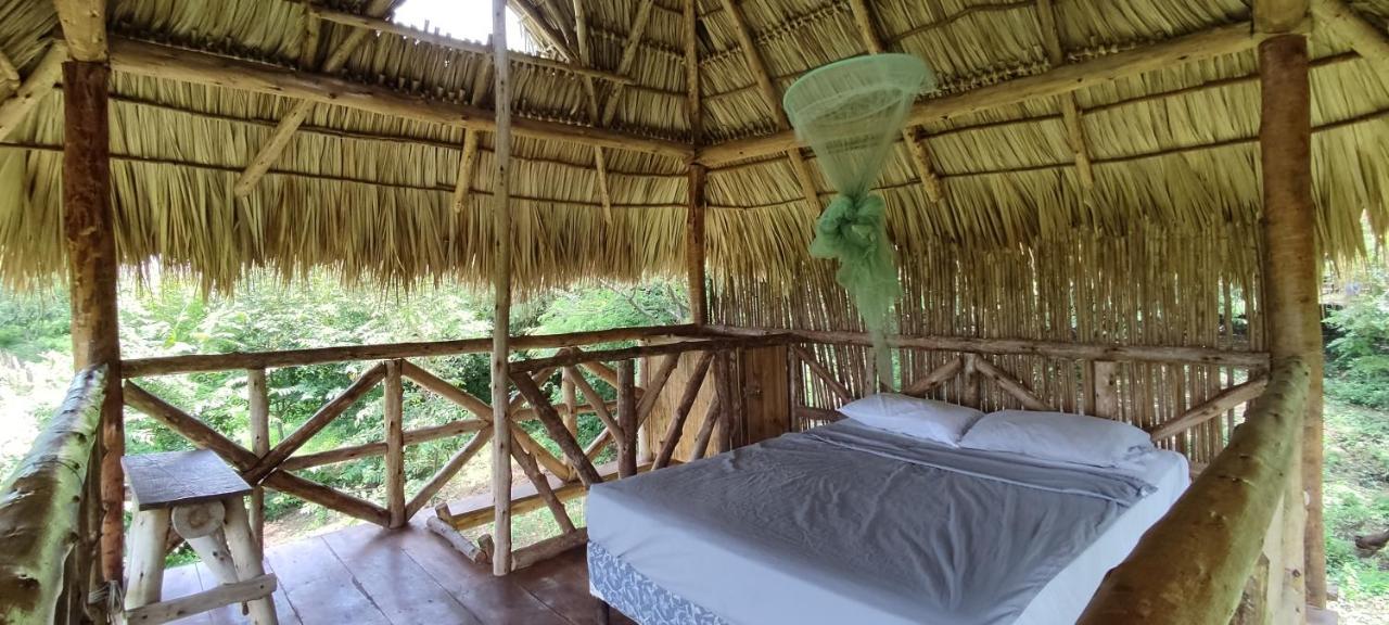 Palapa Hostel Transito 외부 사진