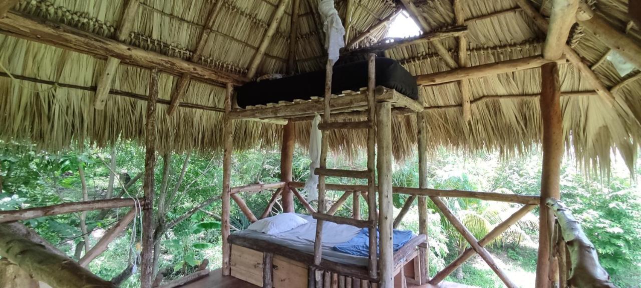 Palapa Hostel Transito 외부 사진