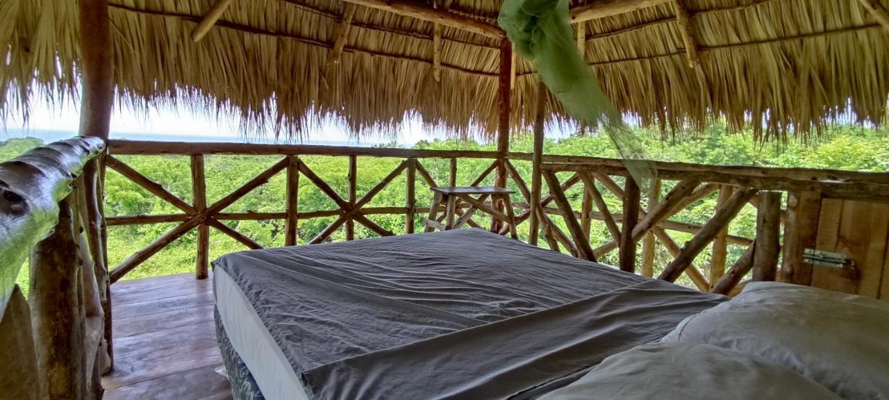 Palapa Hostel Transito 외부 사진