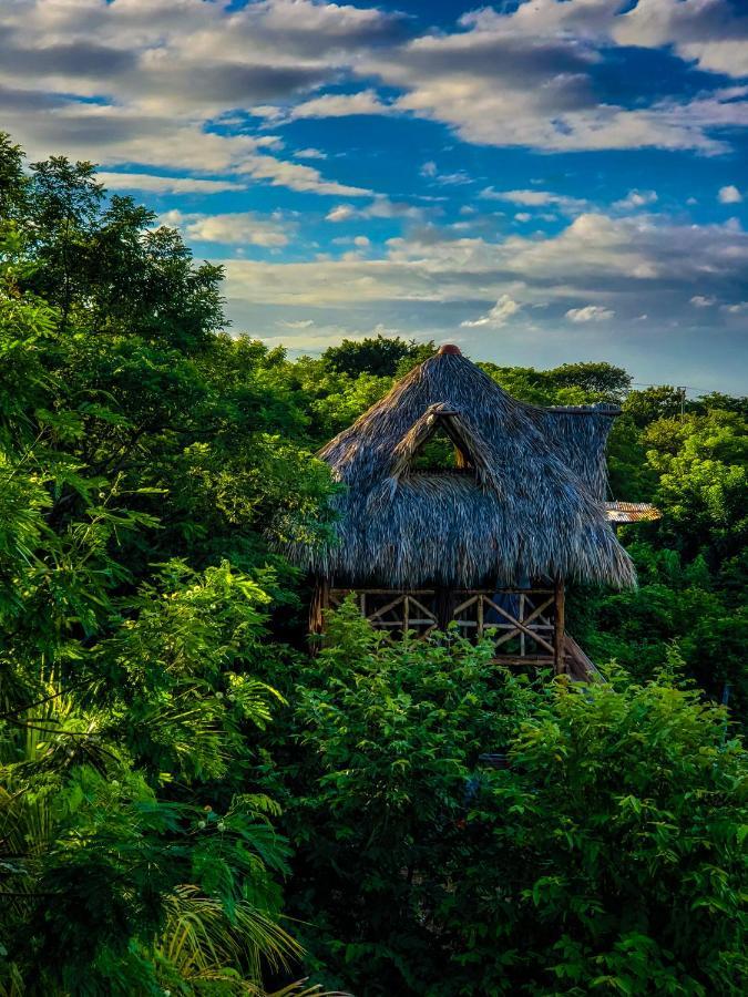 Palapa Hostel Transito 외부 사진