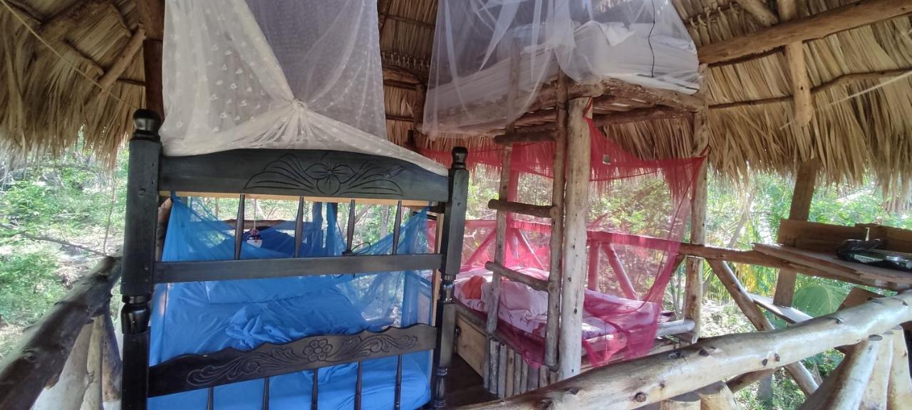 Palapa Hostel Transito 외부 사진