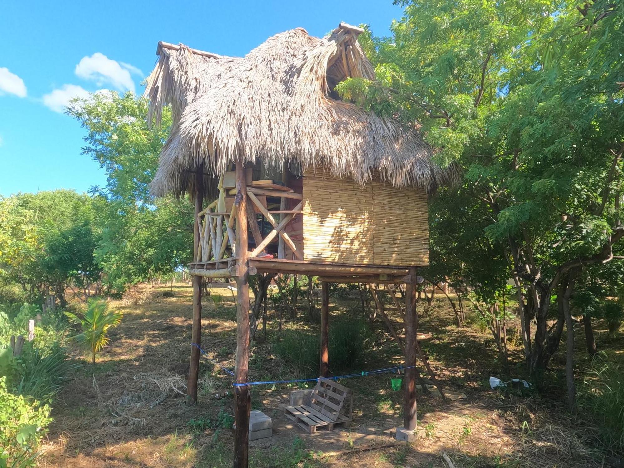 Palapa Hostel Transito 외부 사진