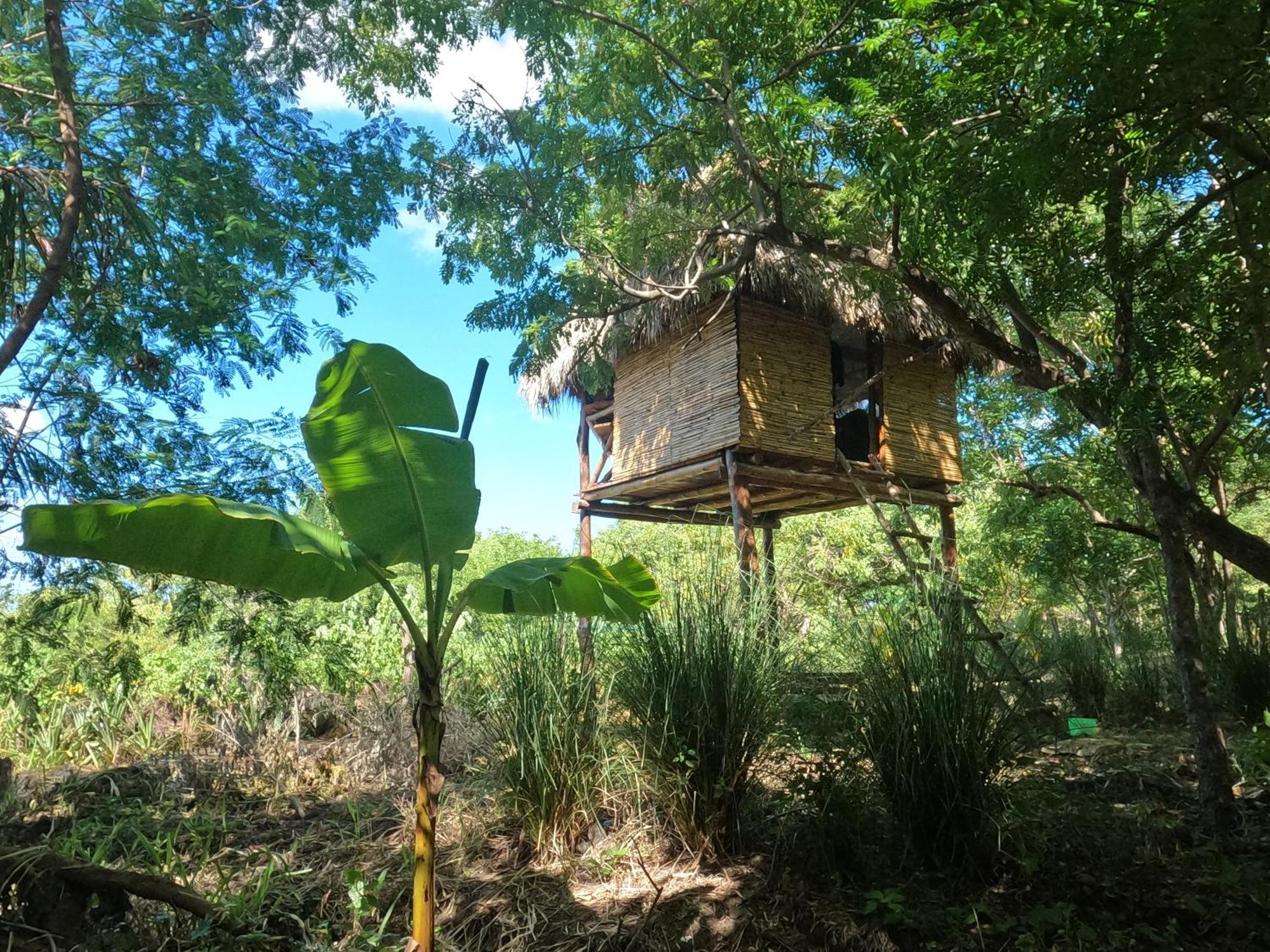 Palapa Hostel Transito 외부 사진