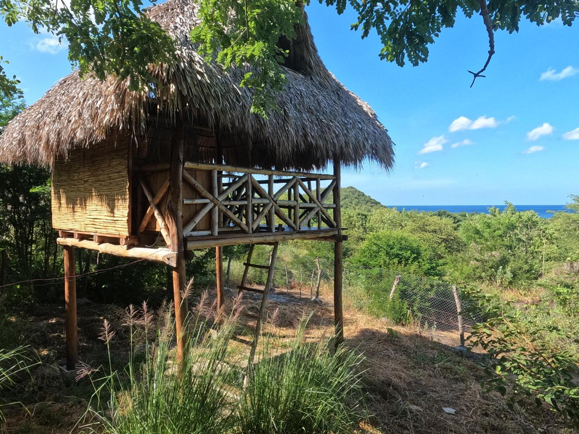 Palapa Hostel Transito 외부 사진