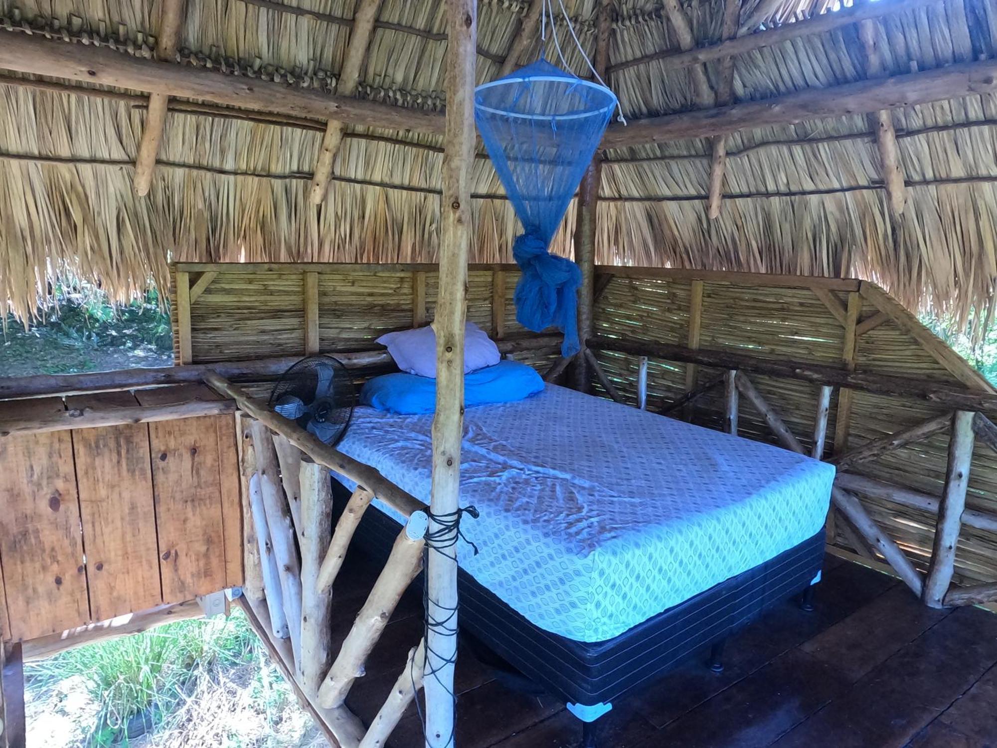 Palapa Hostel Transito 외부 사진
