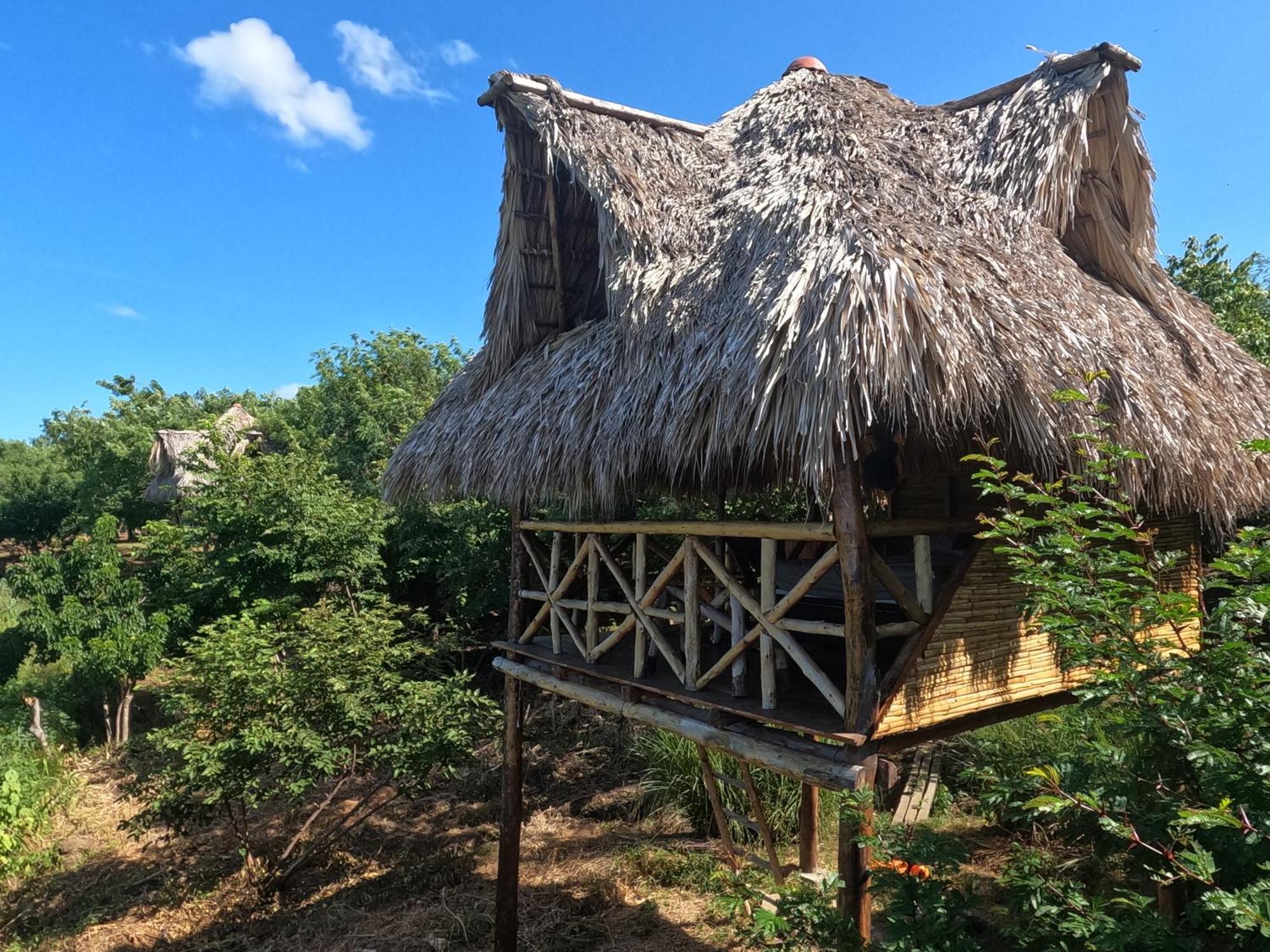 Palapa Hostel Transito 외부 사진