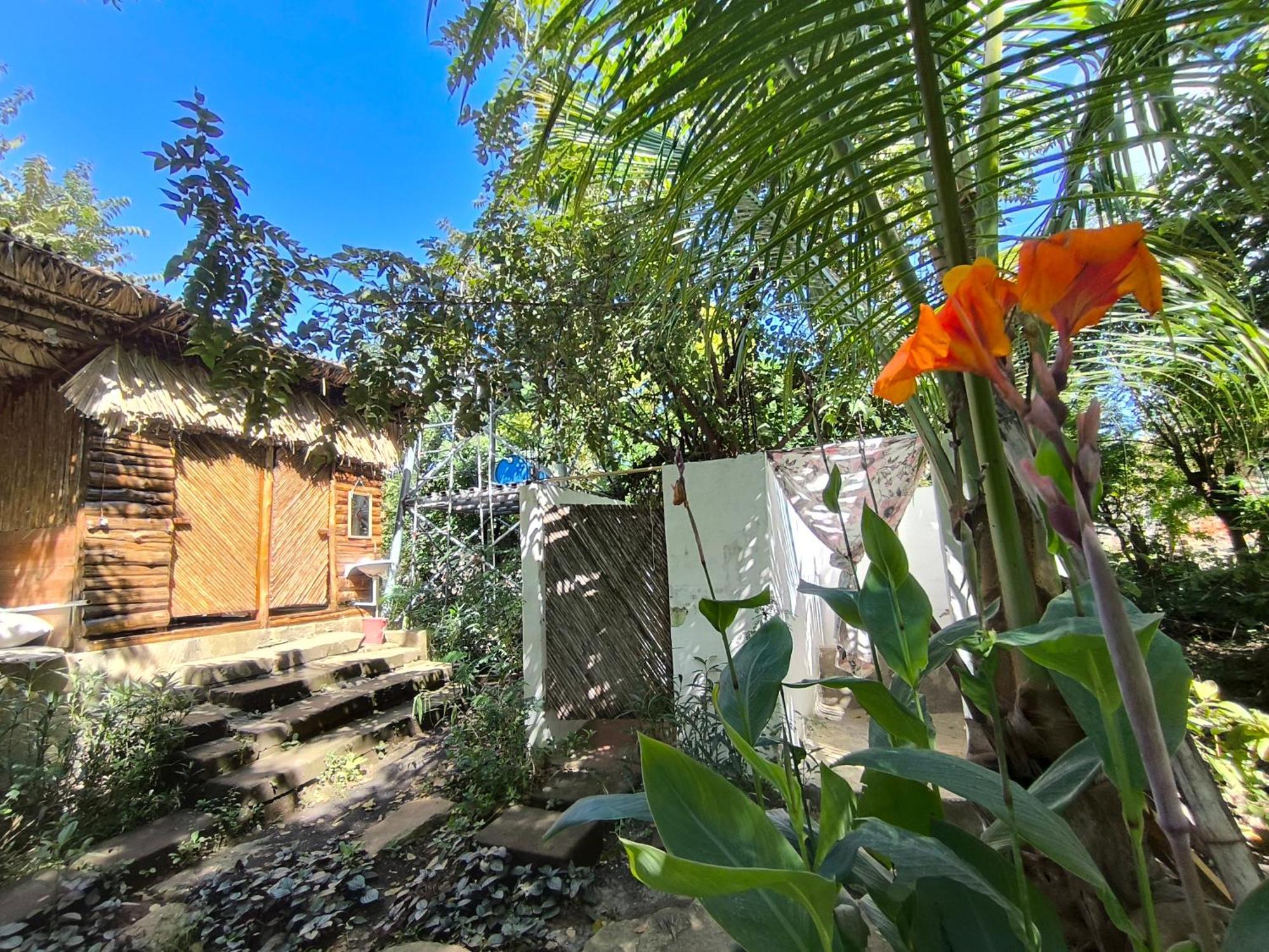 Palapa Hostel Transito 외부 사진