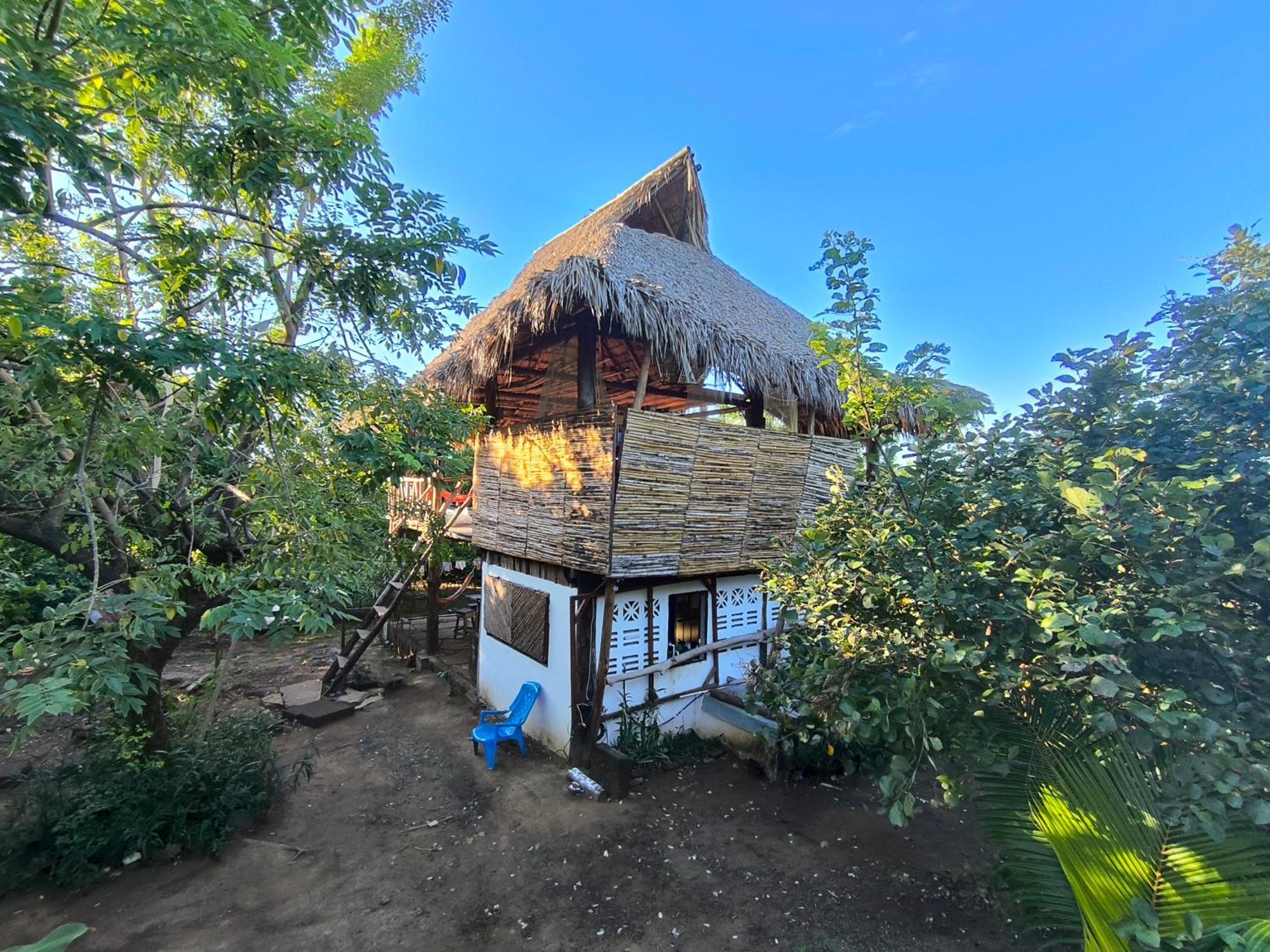 Palapa Hostel Transito 외부 사진