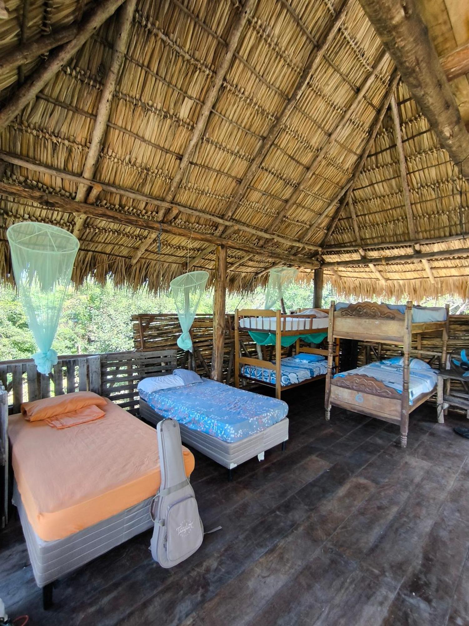 Palapa Hostel Transito 외부 사진