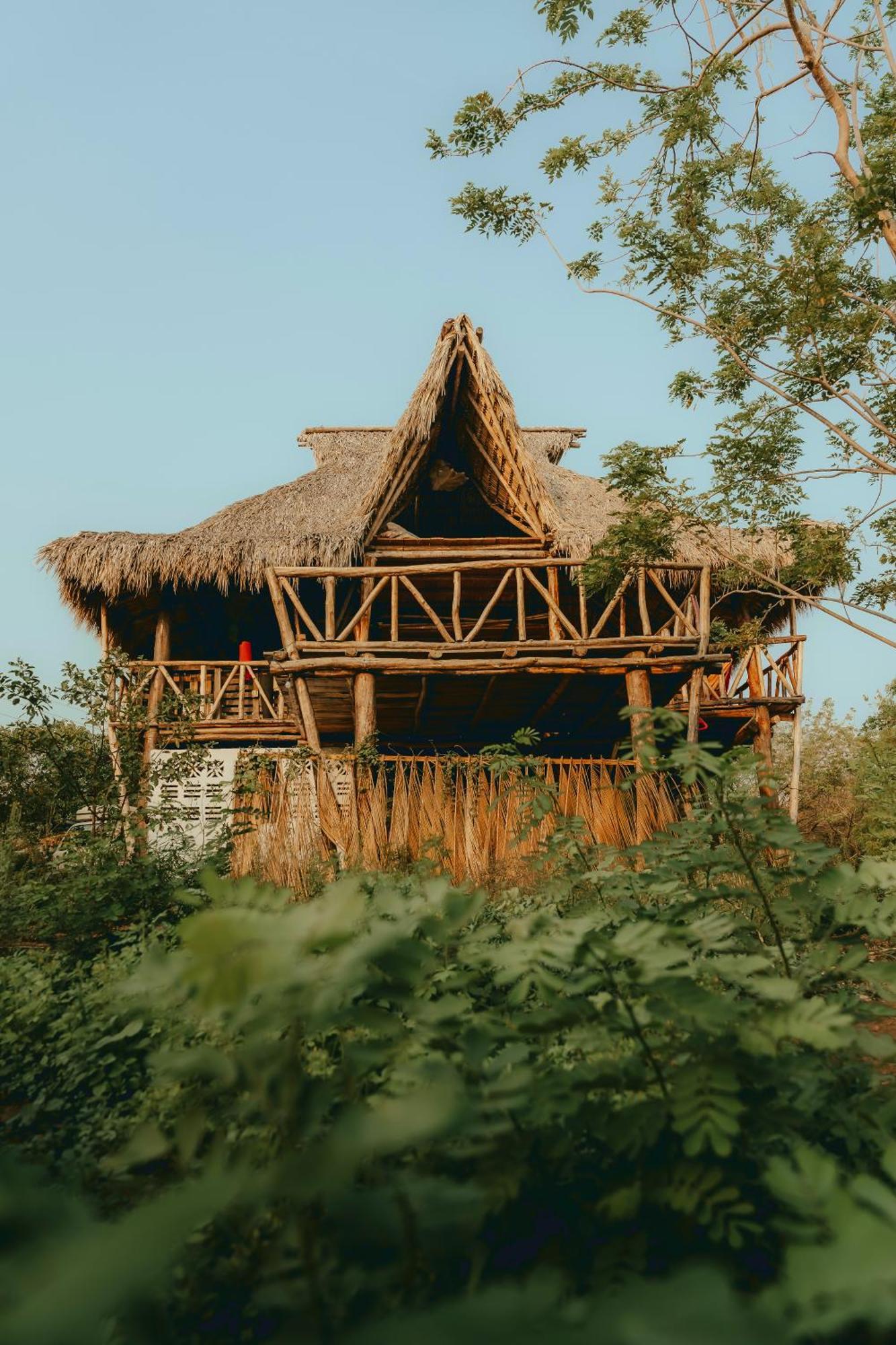 Palapa Hostel Transito 외부 사진