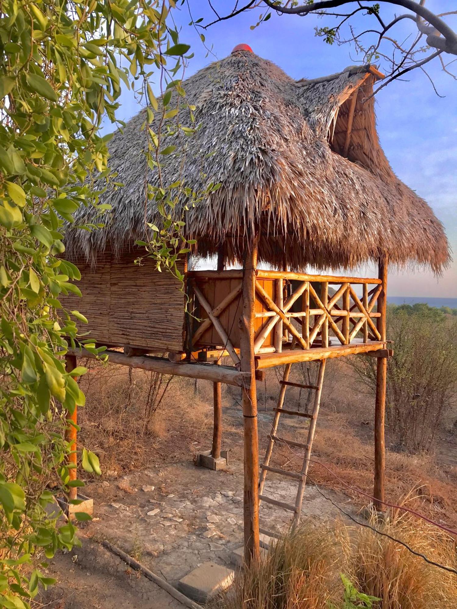 Palapa Hostel Transito 외부 사진