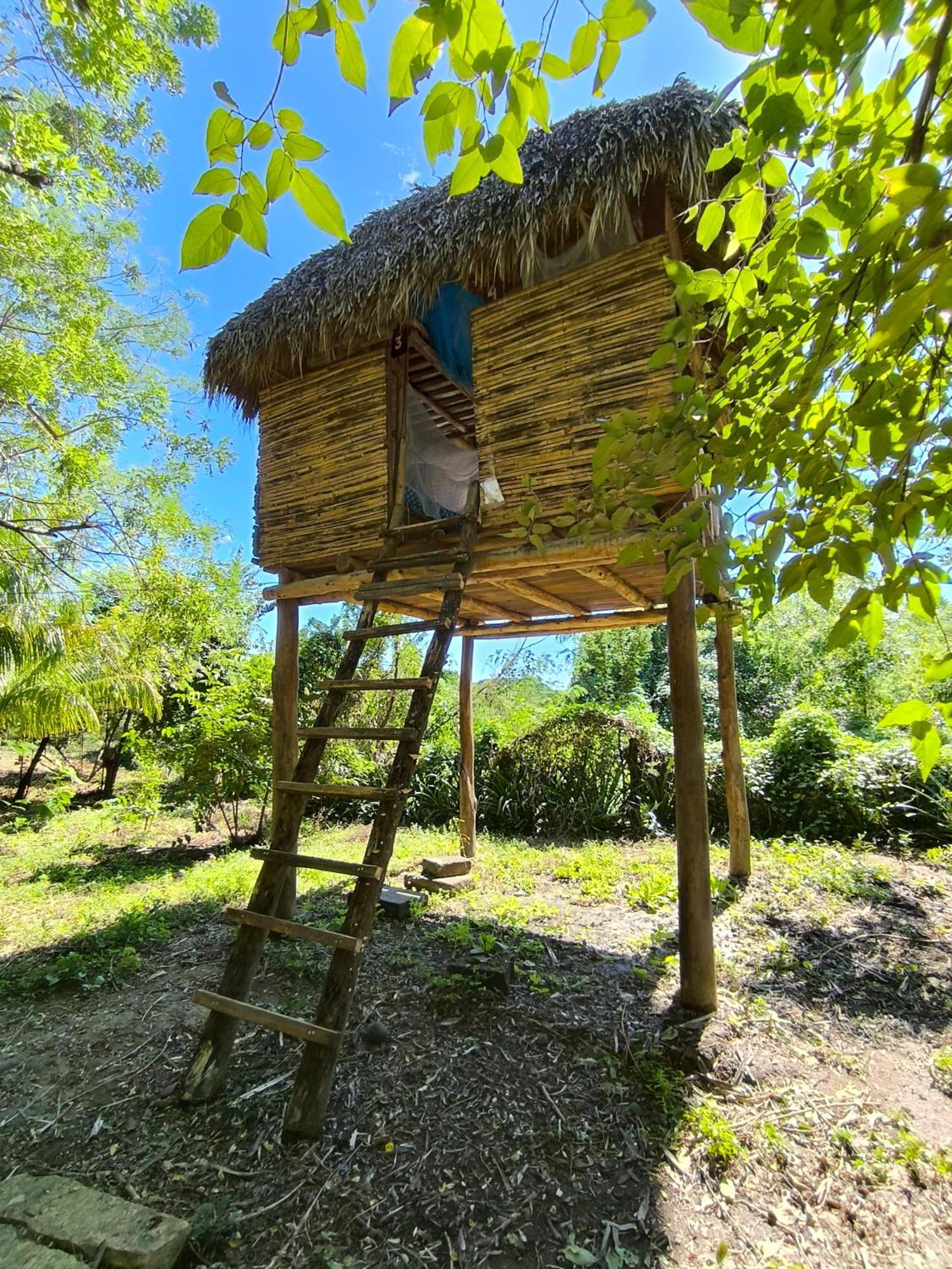 Palapa Hostel Transito 외부 사진